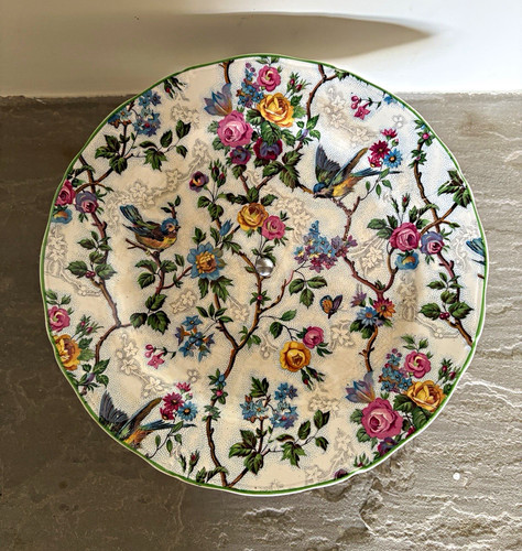 Midwinter england floral - midwinter,