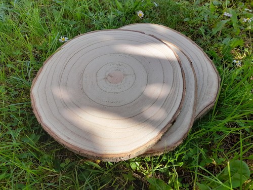 Twelve 30cm natural wood - twelve,